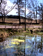 Duke's Pond